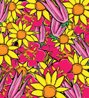 Фиасоль и похищение маленького льва — фото, картинка — 17