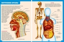 Атлас анатомии человека. Книга для детей и их родителей — фото, картинка — 3