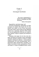 Тайные знания растений. Что видят, слышат и помнят цветы и деревья — фото, картинка — 2