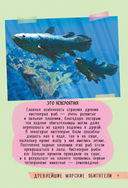 250 лучших секретов о подводном мире — фото, картинка — 9