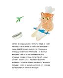 Кругосветное путешествие юного шеф-повара — фото, картинка — 25