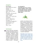 Кругосветное путешествие юного шеф-повара — фото, картинка — 30