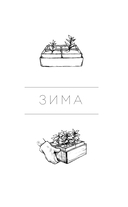 Не просто огород. Как получить южный урожай на севере — фото, картинка — 5