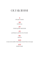 Зачем художнику детали? Вишни, голуби, розы и другие символы — фото, картинка — 2