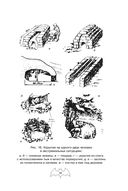 Учебник выживания спецназа ГРУ — фото, картинка — 35