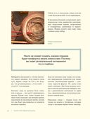 Искусство вязания шали. Вдохновение сибирского леса. 12 авторских проектов со схемами для вязания на спицах — фото, картинка — 23