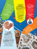 Большая энциклопедия о подводном мире. 500 фотографий и фактов — фото, картинка — 10