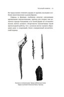 Иллюстрированная история оружия: с древнейших времен до начала XIX века — фото, картинка — 12