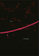 Honey Blood. Сладкая кровь. Том 3 — фото, картинка — 8