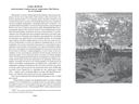 Хитроумный идальго Дон Кихот Ламанчский — фото, картинка — 21