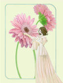 Феи-хранительницы чудесного сада. Раскраска — фото, картинка — 11