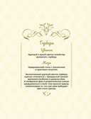 Феи-хранительницы чудесного сада. Раскраска — фото, картинка — 10