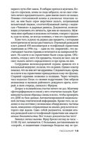 Пассажир — фото, картинка — 20