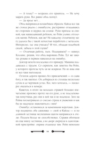 Хозяйка ворон и железный доктор — фото, картинка — 11