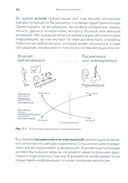 Данные: визуализируй, расскажи, используй. Сторителлинг в аналитике — фото, картинка — 10