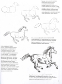 Создаем наброски лошадей шаг за шагом. Скетчбук начинающего художника (зеленая обложка) — фото, картинка — 1