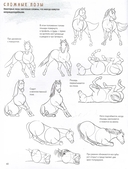 Создаем наброски лошадей шаг за шагом. Скетчбук начинающего художника (зеленая обложка) — фото, картинка — 3