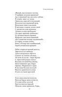 Полное собрание стихотворений в одном томе — фото, картинка — 36
