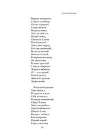 Полное собрание стихотворений в одном томе — фото, картинка — 96