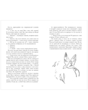 Как ко мне сватался Ветер — фото, картинка — 10