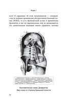 Долго жить не запретишь. Гид по восстановлению и сохранению здоровья сердца, мозга и суставов — фото, картинка — 23