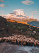 Дагестан. Невероятное путешествие от древних аулов и крепостей до величественных гор и водопадов — фото, картинка — 1